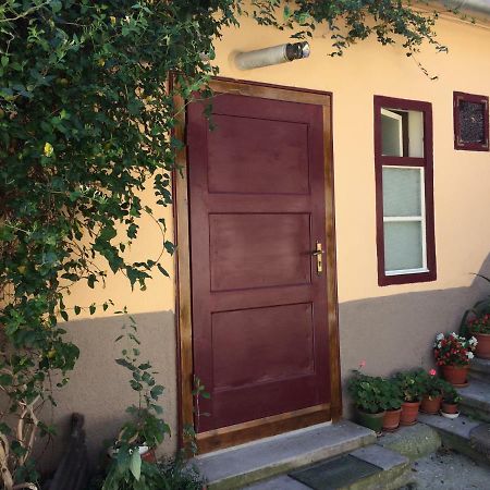Iony Apartament 锡比乌 外观 照片